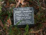image of grave number 919602